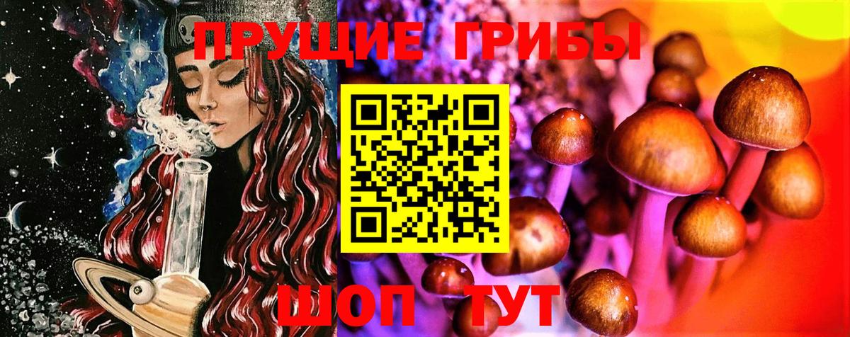 Галлюциногенные грибы Magic Shrooms  наркота  Псилоцибиновые грибы Psilocybine cubensis  Ангарск  Вход с VPN 