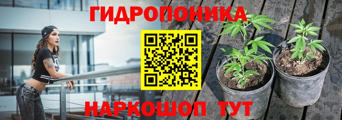 Шишки марихуана Ganja  Канабис гибрид  Вход с VPN  Шишки марихуана сатива  Шишки марихуана планчик  Ангарск 